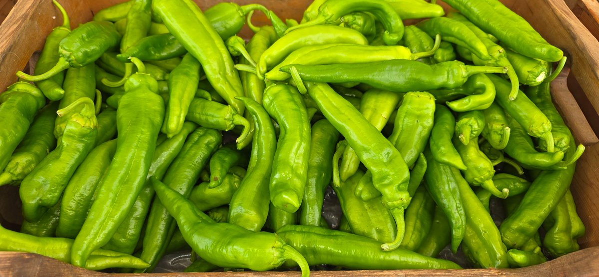 queensfarm's tweet image. There's nothing better on a hot, summer day than farm- fresh produce! ☀️ Stop by our Farmstand Wed - Sun, 10am - 4pm.