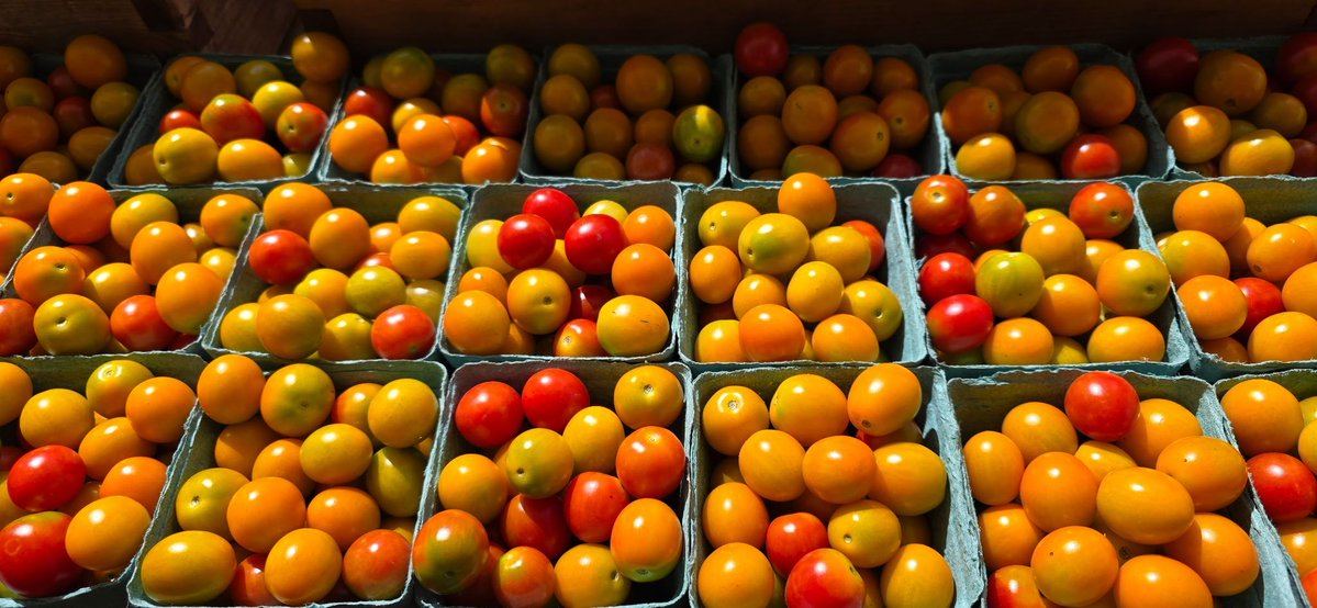 queensfarm's tweet image. There's nothing better on a hot, summer day than farm- fresh produce! ☀️ Stop by our Farmstand Wed - Sun, 10am - 4pm.
