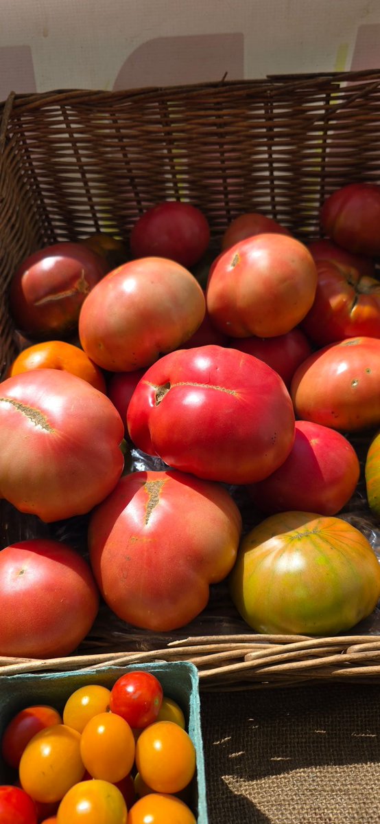 queensfarm's tweet image. There's nothing better on a hot, summer day than farm- fresh produce! ☀️ Stop by our Farmstand Wed - Sun, 10am - 4pm.