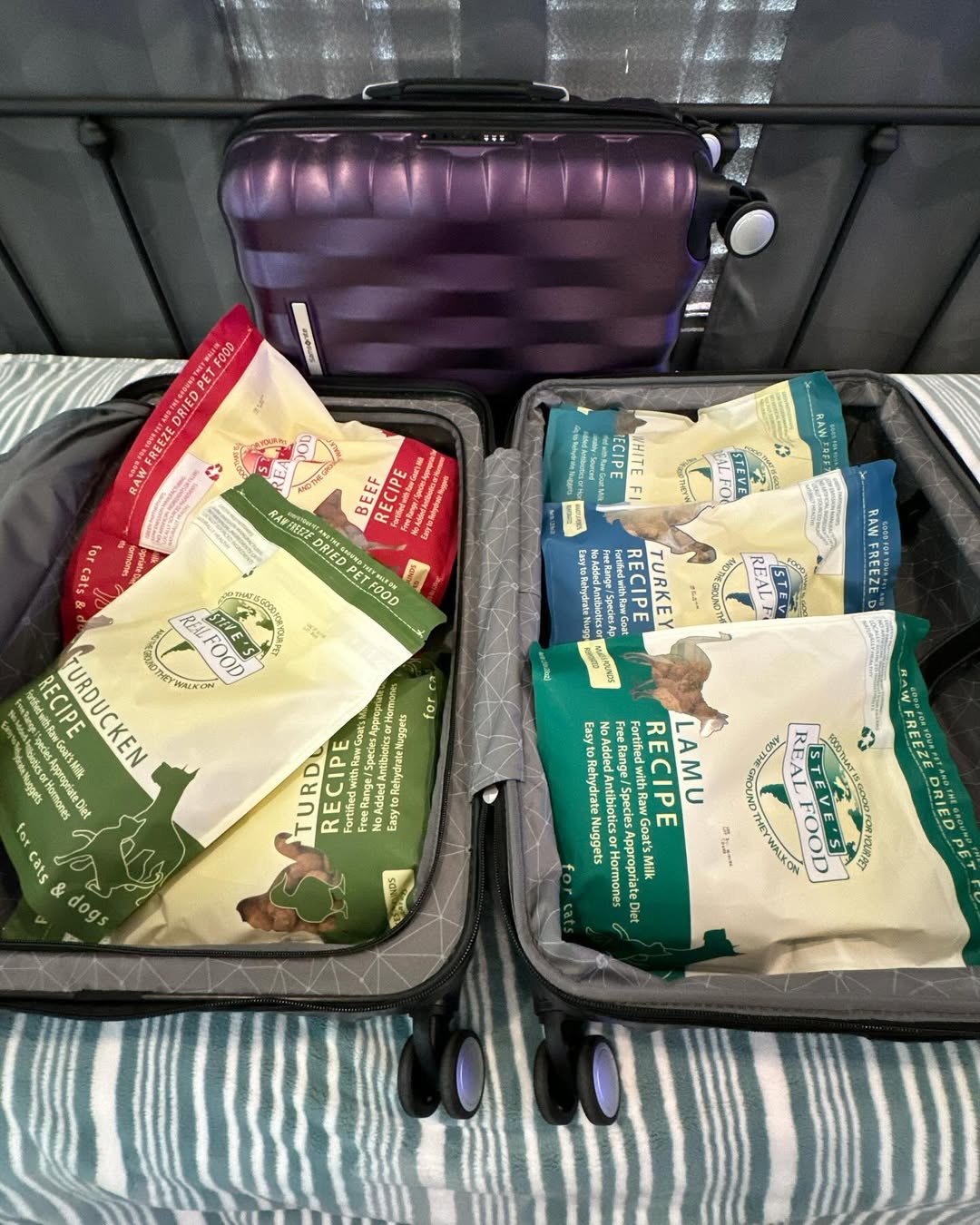 Can You Pack Food in Your Luggage: Ultimate Travel Packing Guide