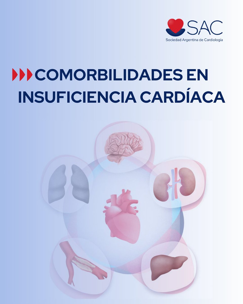 SAC_54's tweet image. 🔵Curso de Comorbilidades en insuficiencia cardíaca 📣 ¡Abierta la inscripción! 

🔺Cómo impactan las diferentes comorbilidades en el cuidado y pronóstico de estos pacientes, con tan alta fragilidad y cómo realizar el diagnóstico y tratamiento.

📌Inicio: 4 de agosto  

¡No te…