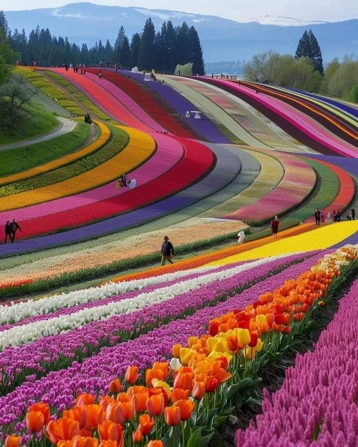 Around the world (@magical_nature5) on Twitter photo 