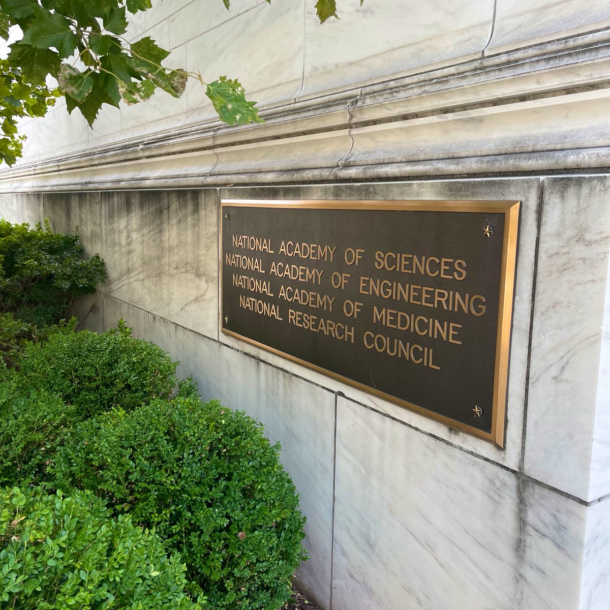 ArielleLBaker's tweet image. Returned to @theNASEM today—familiar halls, urgent questions. Grateful to attend a session organized by @smr32 exploring: What if international students and postdocs stopped coming to the U.S.? Thought-provoking insights from @ChrisGlassHEC, @m_clem, and others.