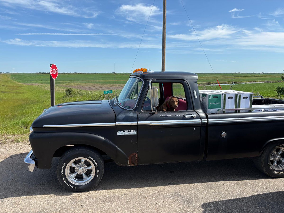 An old pickup, a load of products, and Passenger Penny riding shotgun!

Nick sent in these shots while heading out to get some wheat sprayed. 🌾

#spray #albertafarmers #albertaag