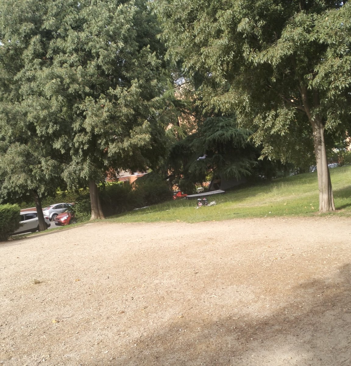 PINBALL_VICE's tweet image. Dando un paseo con mi perro veo estupefacto como 2 magrebíes se instalan a pocos metros de mi casa en un parque,  fornidos como poli Díaz en sus tiempos. 
No me hace puta gracia.
@SarahPerezSanta lo mismo a ti Sara no te importa ¿Te los mando?
¿Donde vives?
@MiquelGimenezG1