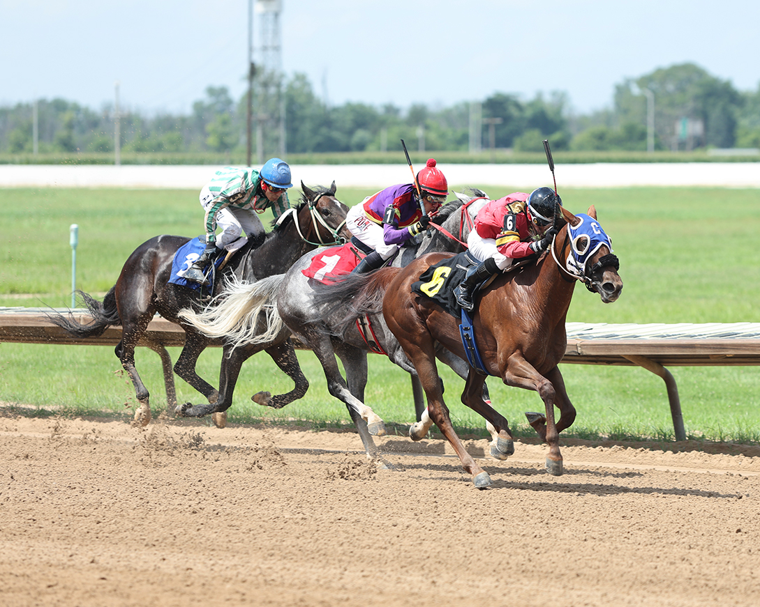 FairmountPk's tweet image. What a day of racing yesterday at Fairmount Park! ๐๐ฅ
Thrilling finishes, electric crowd, and nonstop action from start to finish.
Shoutout to all the winners and teams behind the scenes!
๐ธ: Coady Media
#FairmountPark #ThoroughbredRacing #RaceDayVibes