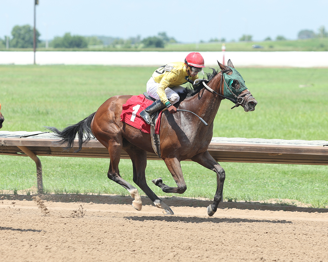 FairmountPk's tweet image. What a day of racing yesterday at Fairmount Park! ๐๐ฅ
Thrilling finishes, electric crowd, and nonstop action from start to finish.
Shoutout to all the winners and teams behind the scenes!
๐ธ: Coady Media
#FairmountPark #ThoroughbredRacing #RaceDayVibes