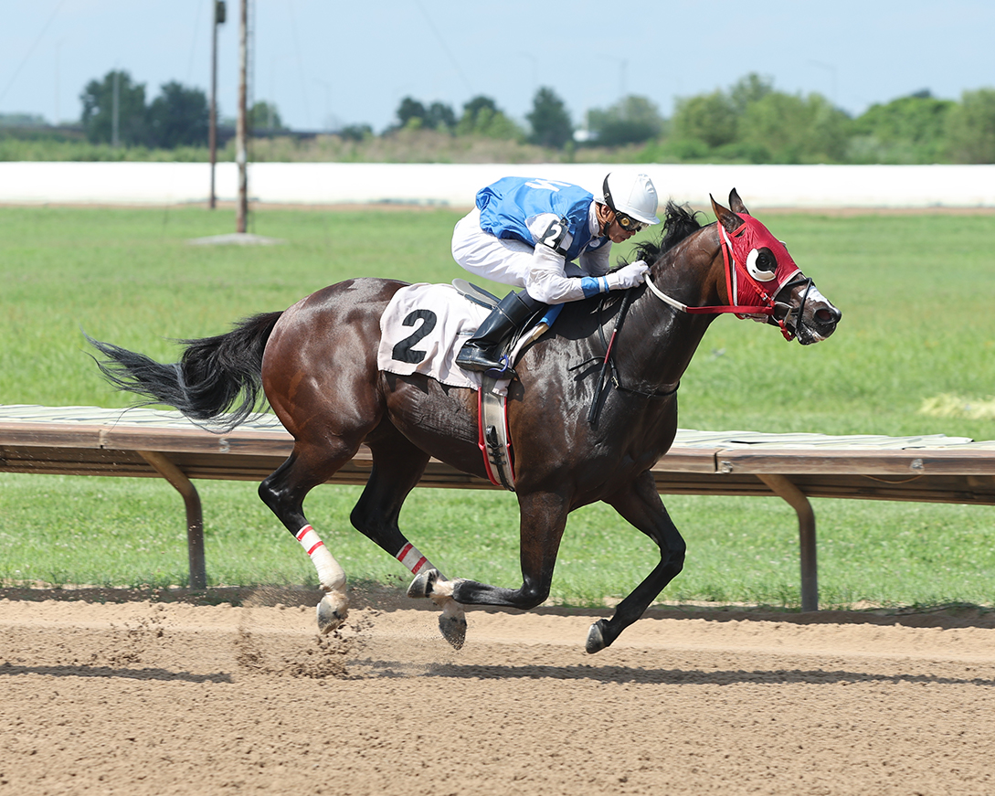 FairmountPk's tweet image. What a day of racing yesterday at Fairmount Park! ๐๐ฅ
Thrilling finishes, electric crowd, and nonstop action from start to finish.
Shoutout to all the winners and teams behind the scenes!
๐ธ: Coady Media
#FairmountPark #ThoroughbredRacing #RaceDayVibes