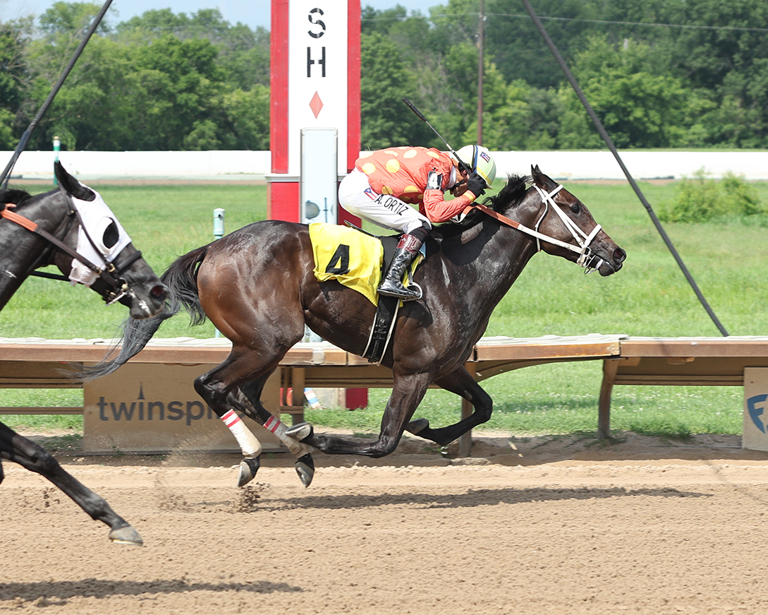 FairmountPk's tweet image. What a day of racing yesterday at Fairmount Park! ๐๐ฅ
Thrilling finishes, electric crowd, and nonstop action from start to finish.
Shoutout to all the winners and teams behind the scenes!
๐ธ: Coady Media
#FairmountPark #ThoroughbredRacing #RaceDayVibes