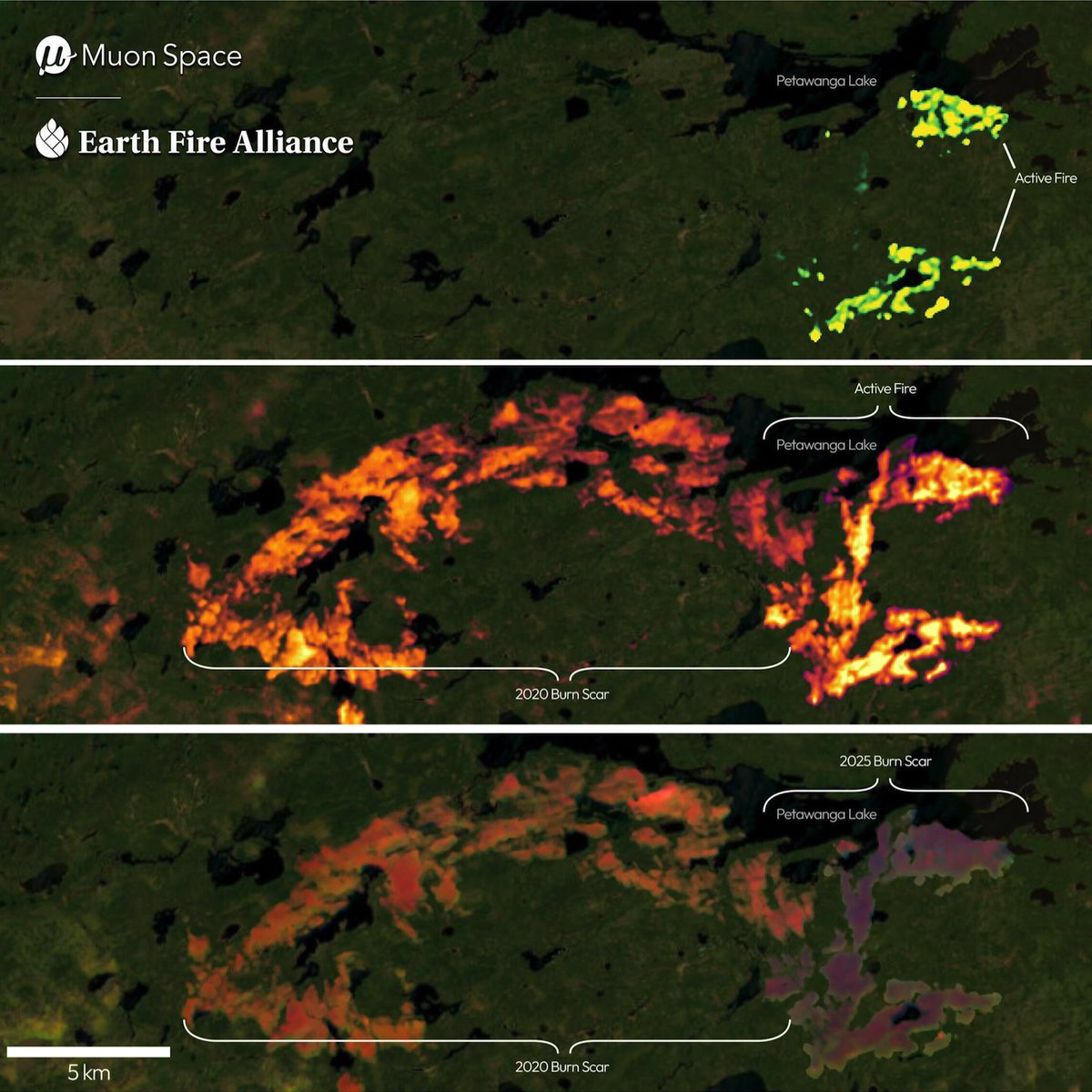 MooreFound's tweet image. 🔥🛰️ Today @EarthFireAll + @MuonSpace unveiled the first images from #FireSat: a cutting-edge satellite system for wildfire detection. Backed by our Wildfire Resilience Initiative, FireSat marks a game-changing shift toward proactive wildfire response.
🔗brnw.ch/21wUn3m