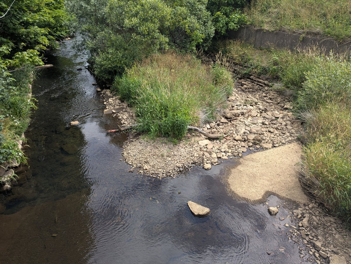 Renit Rivers Rennies River is pretty low now down by Memorial Stadium. Done to one ...