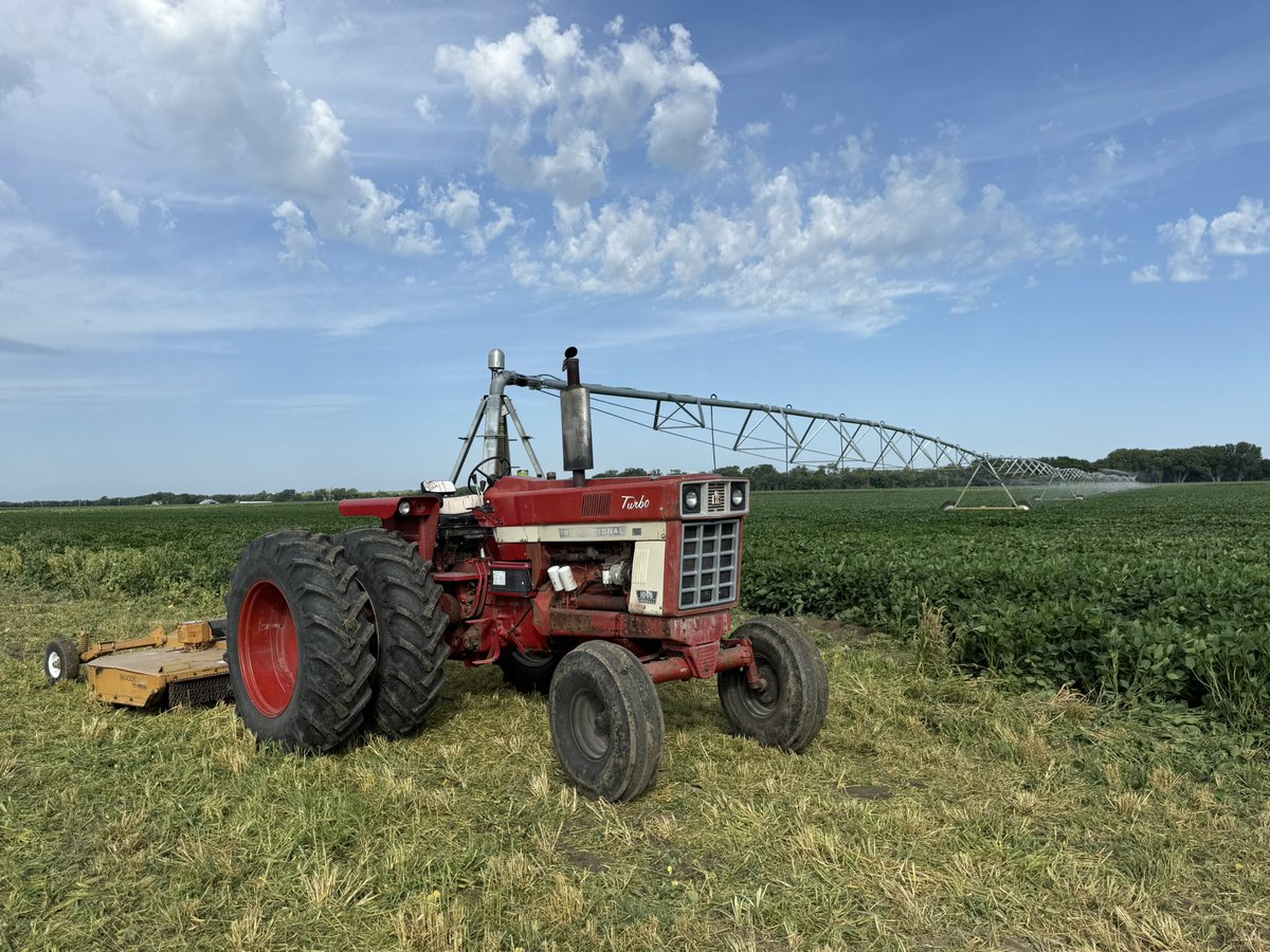tmonteIH's tweet image. Bad part about having a field along a main highway is that I feel compelled to mow down my weeds. If your ever on highway 383 east of Long Island, KS and see me wave!