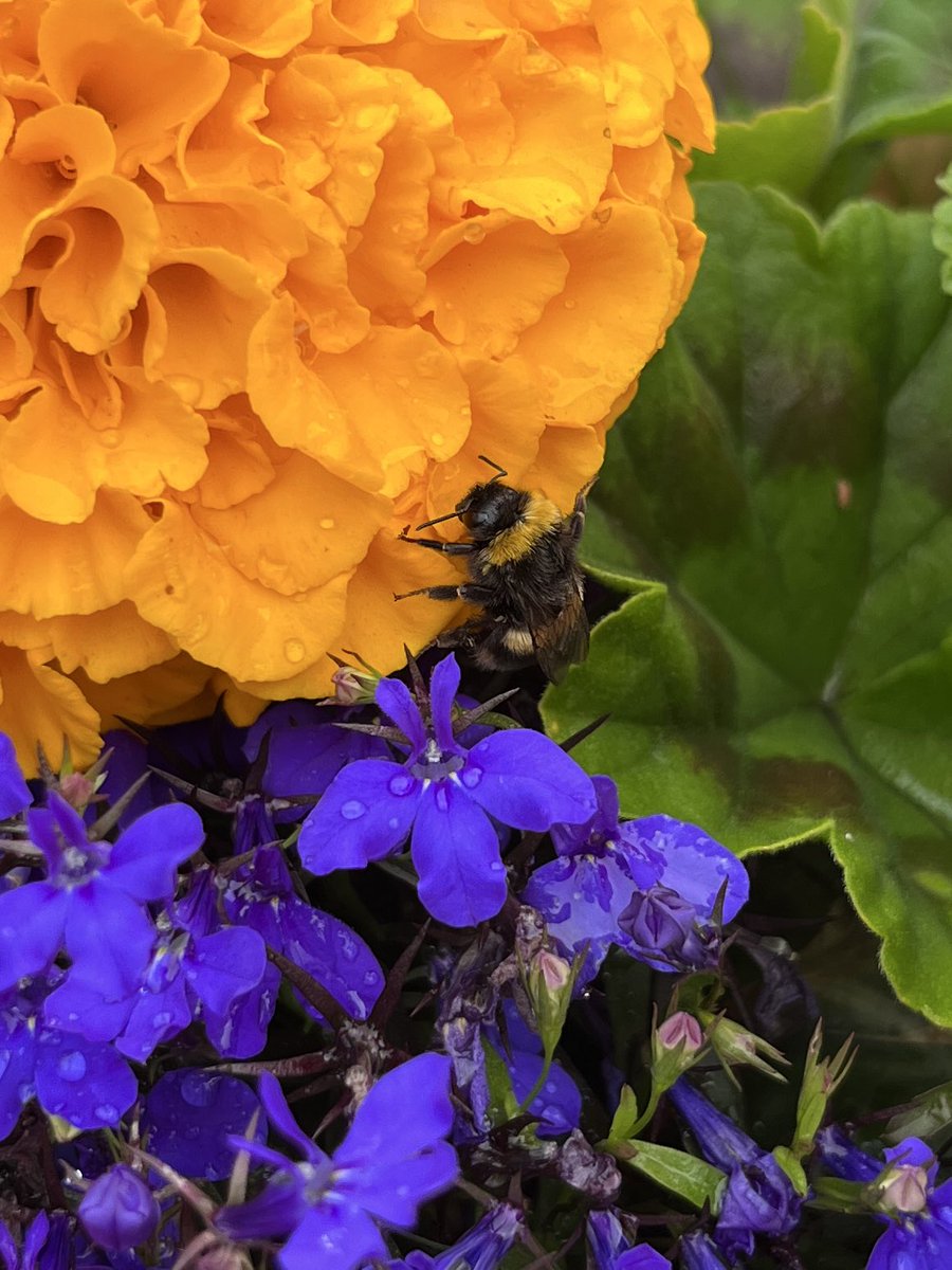 K  𝕏 tweet media