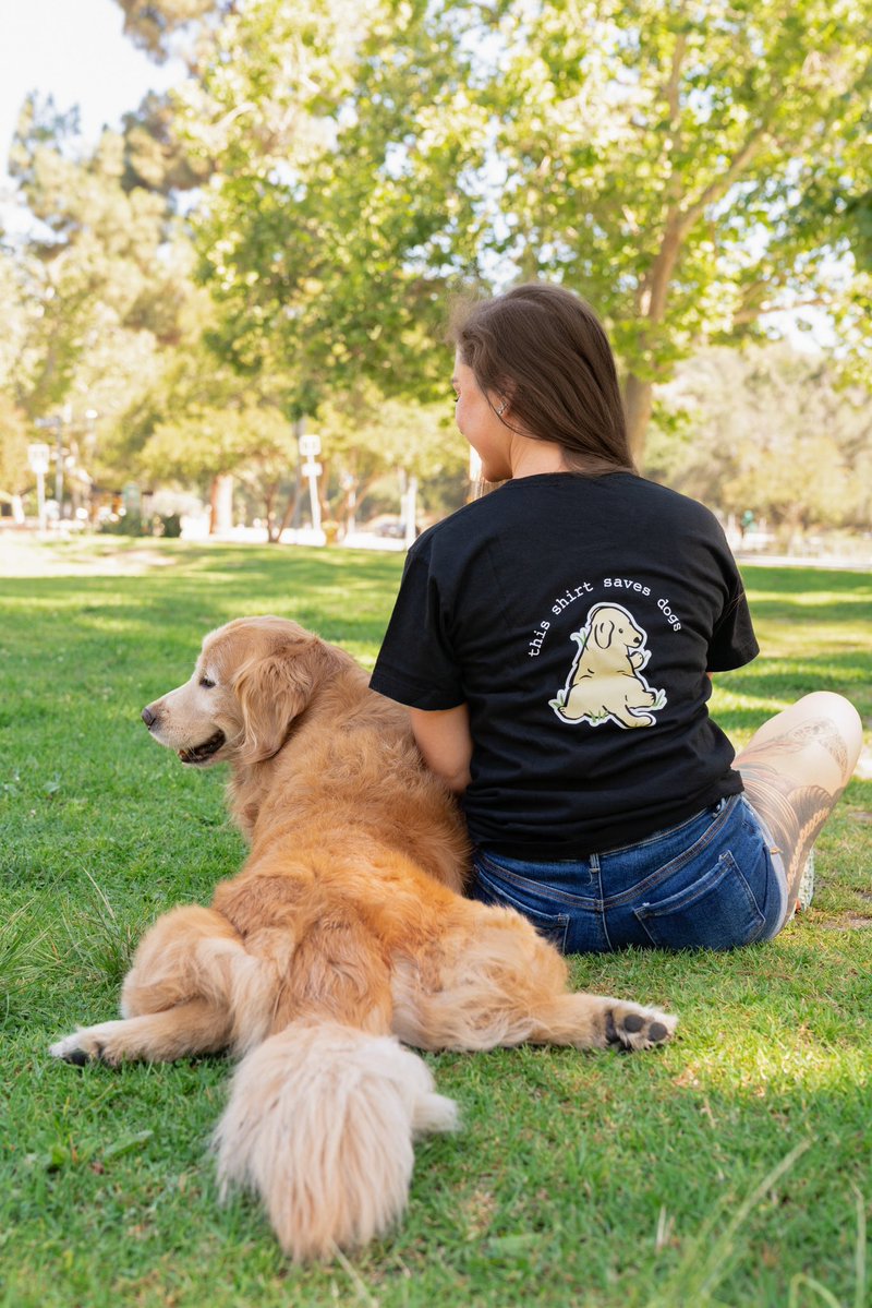 dog_rates's tweet image. This is Fresno. He's what you might call a sploot specialist. Due to his expertise, we knew he was the perfect pup to help launch our sploot puppy tees. Get yours now below!
weratedogs.com/?utm_source=tw…