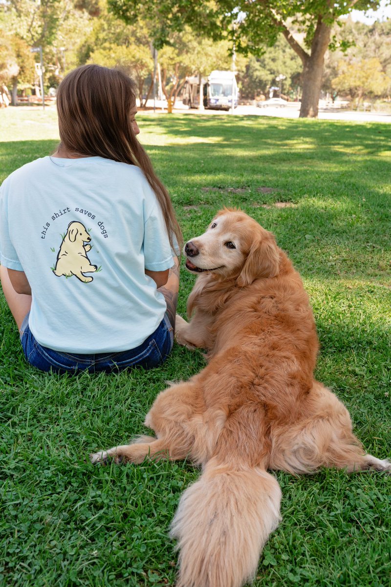 dog_rates's tweet image. This is Fresno. He's what you might call a sploot specialist. Due to his expertise, we knew he was the perfect pup to help launch our sploot puppy tees. Get yours now below!
weratedogs.com/?utm_source=tw…