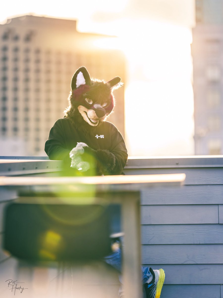 FeltonWuff's tweet image. It&apos;s my first post! Care to join for a rooftop sunset?
📸: @RixHusky