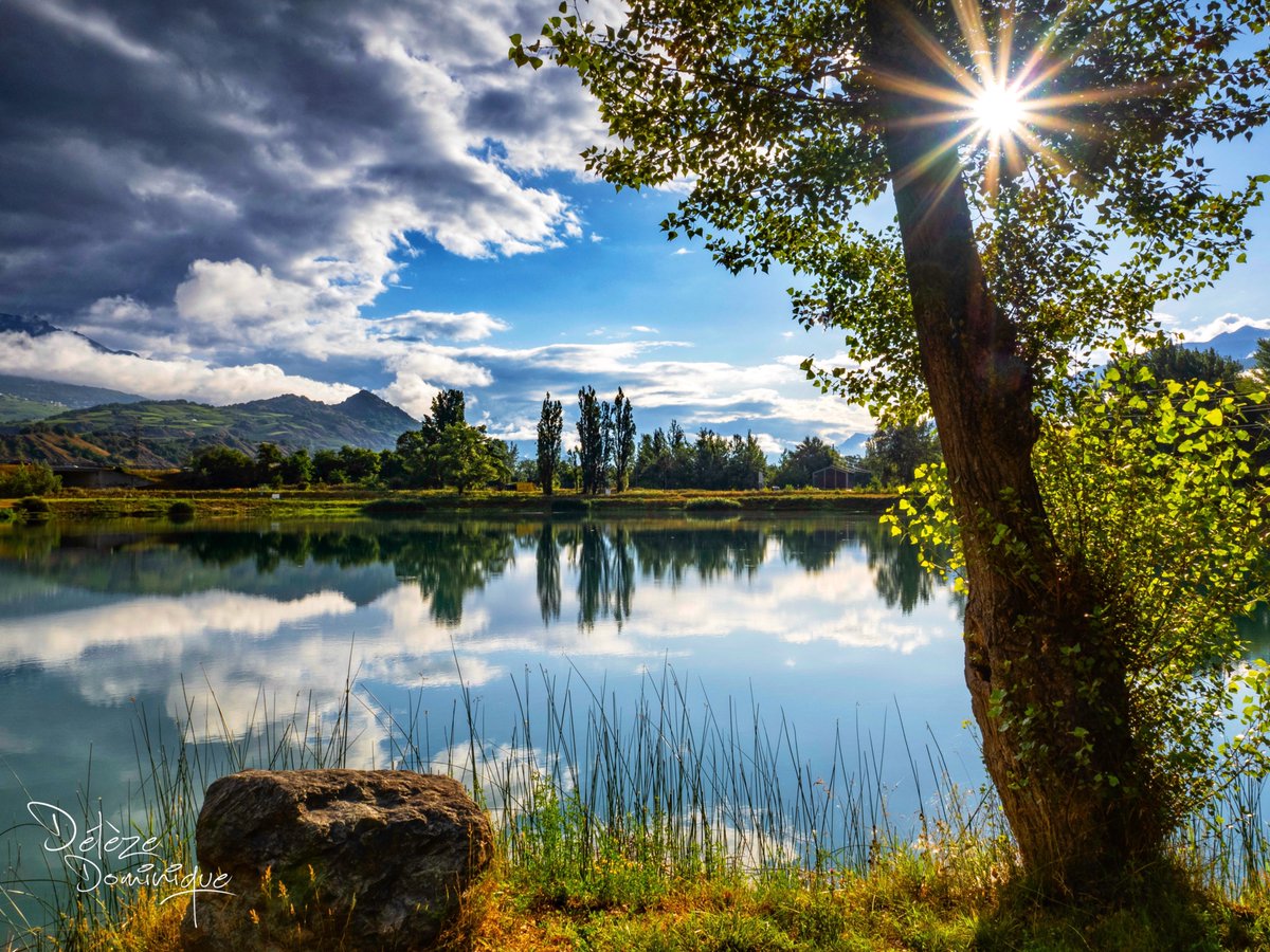 DelezeD's tweet image. Moment douceur au bord de l’eau, Sion 💙💛💚🇨🇭

#suisse #switzerland @valaiswallis @MySwitzerland_e