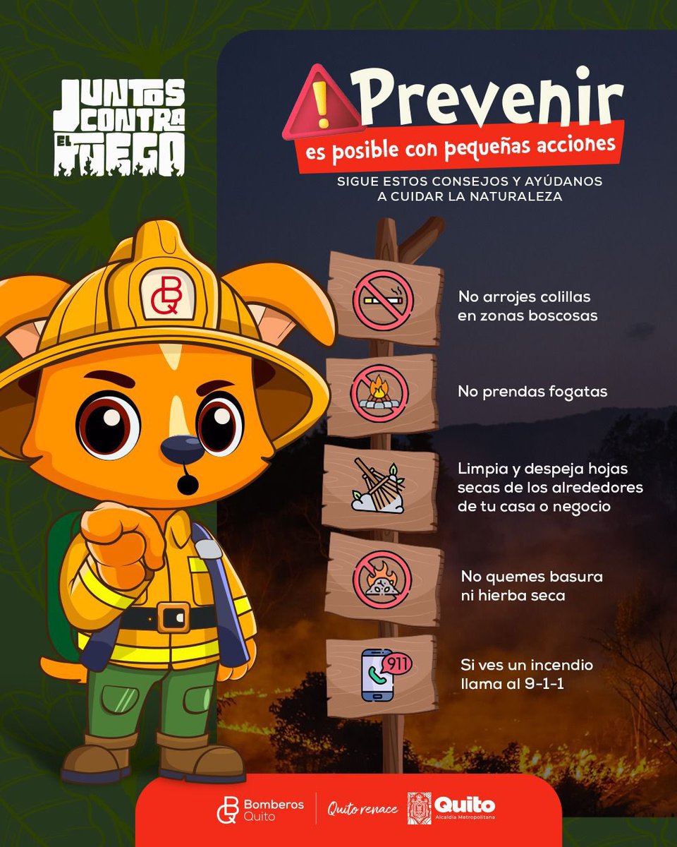 🔥 #JuntosContraElFuego | Prevenir es posible con pequeñas acciones que hacen una gran diferencia. Sigue estos consejos y ayúdanos a cuidar la naturaleza:

✅ No arrojes basura en zonas boscosas.
✅ No prendas fogatas en la época seca.
✅ Limpia y despeja hojas secas de los