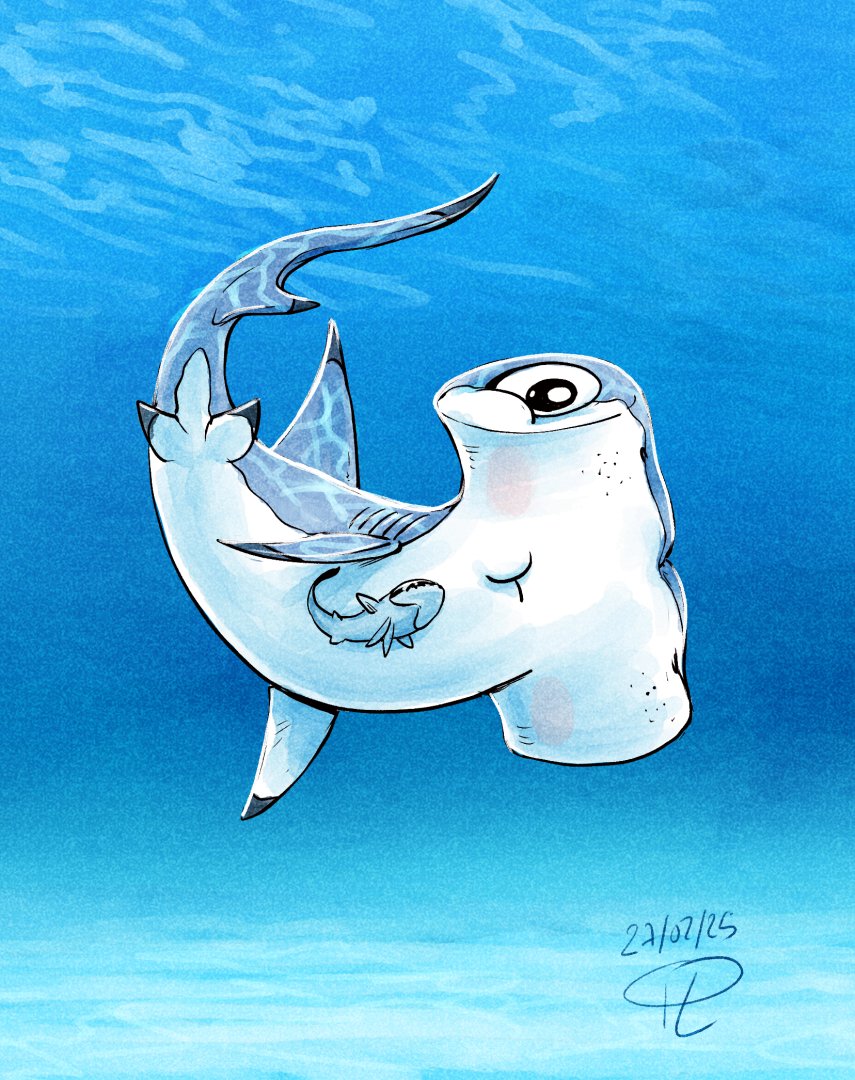 siyann_stuff's tweet image. It&apos;s #SharkWeek2025, remember to protect  your Shorks !
