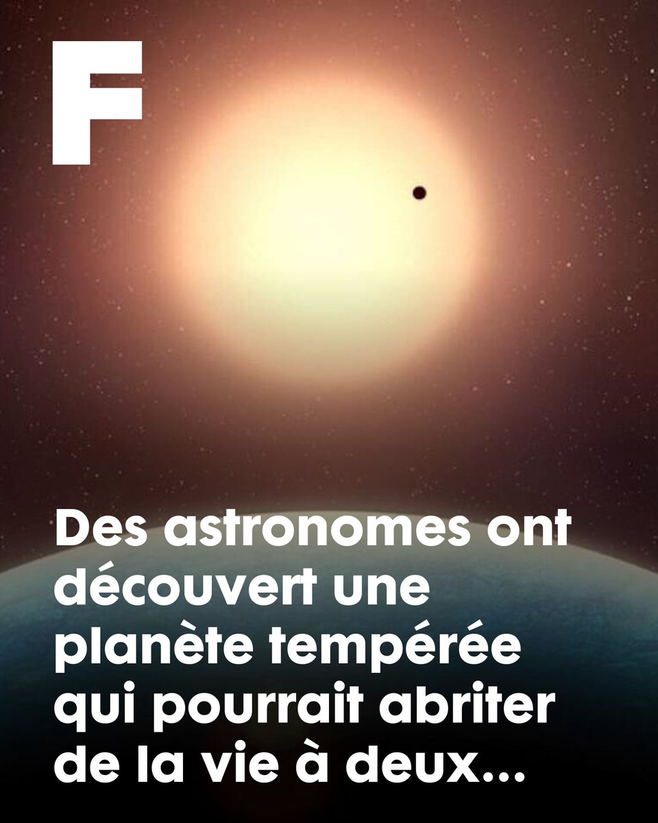 futurasciences's tweet image. Des astronomes ont découvert une planète tempérée qui pourrait abriter de la vie à deux pas du Système solaire
➡️ l.futura-sciences.com/SdO