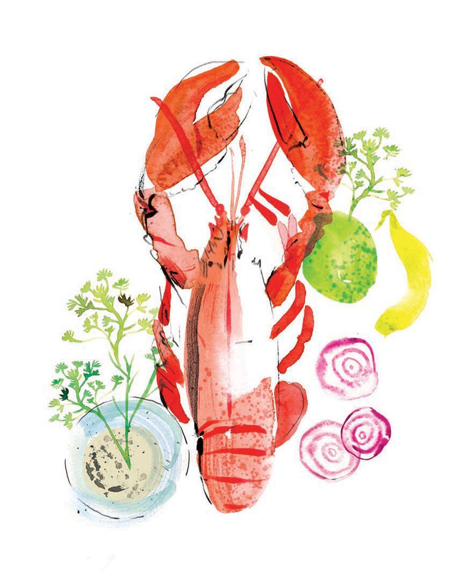 Catch the taste of summer! 🦞☀️ We love this beautiful artwork by Jennifer Costello.