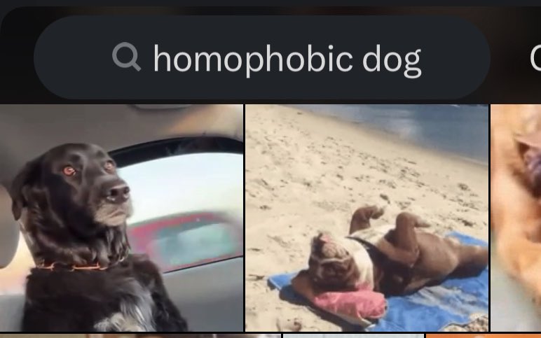 meowbuckley's tweet image. do u think oliver stark knows his dog comes up when u search homophobic dog