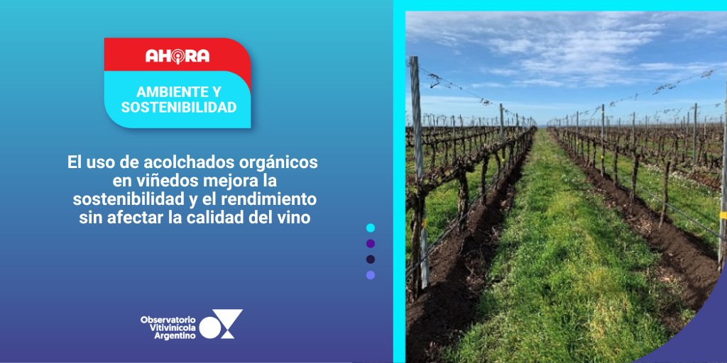 🔴 AHORA⎥ AMBIENTE Y SOSTENIBILIDAD
El uso de acolchados orgánicos en viñedos mejora la sostenibilidad y el rendimiento sin afectar la calidad del vino
observatoriova.com/ahora/el-uso-d…
Conocé todas nuestras alertas en 👉🏼 observatoriova.com/ahora/ #AhoraOVA #AmbienteySostenibilidad
