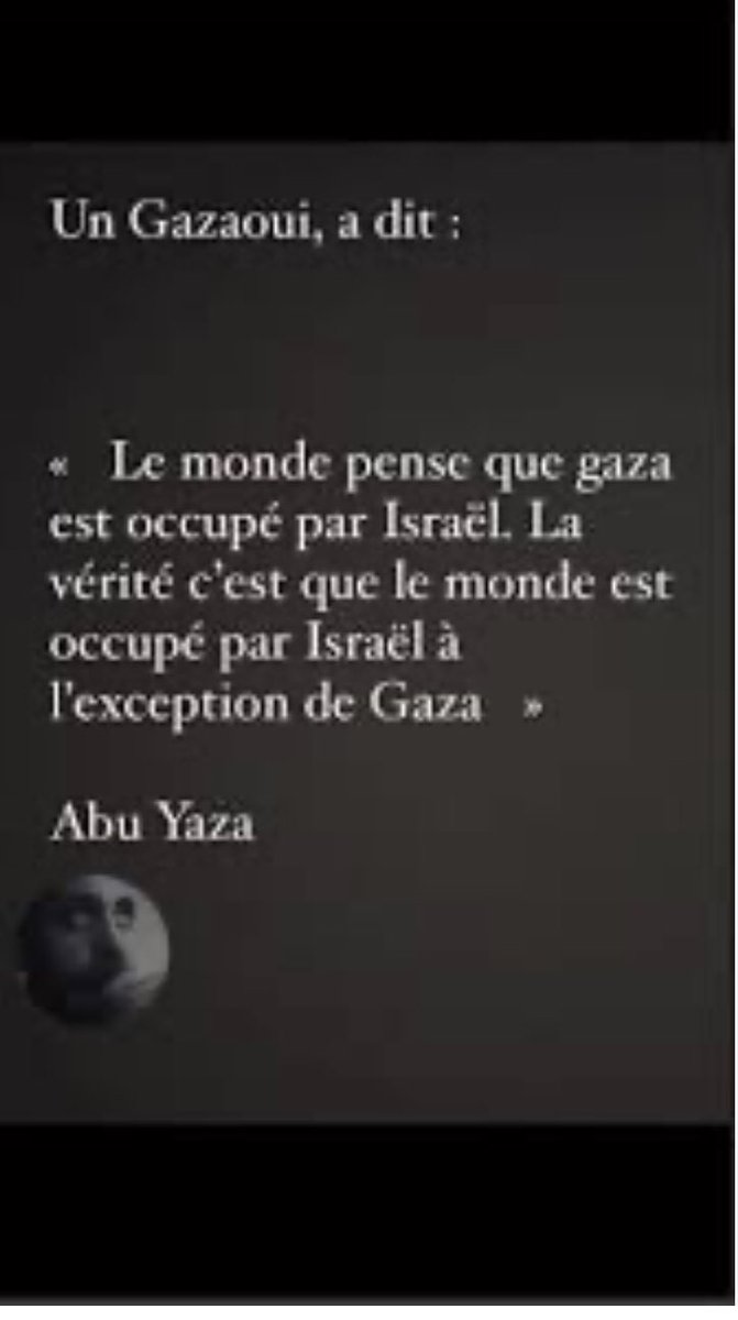 NaiNai🇩🇿🇲🇦🇪🇸🇵🇸🇿🇦🇫🇷🇱🇧 / tweet media