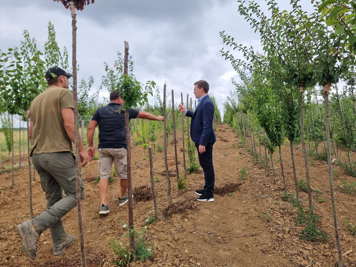 jordan_guitton's tweet image. ➡️ Je me suis rendu cet après-midi à la pépinière Girardin Pailley située à Précy-Saint-Martin depuis plus de 200 ans ! 💐
⛈️ Elle a subi des dommages agricoles sur sa structure suite aux orages du début du mois.
Déjà l'année dernière, la pépinière avait subi de nombreux…