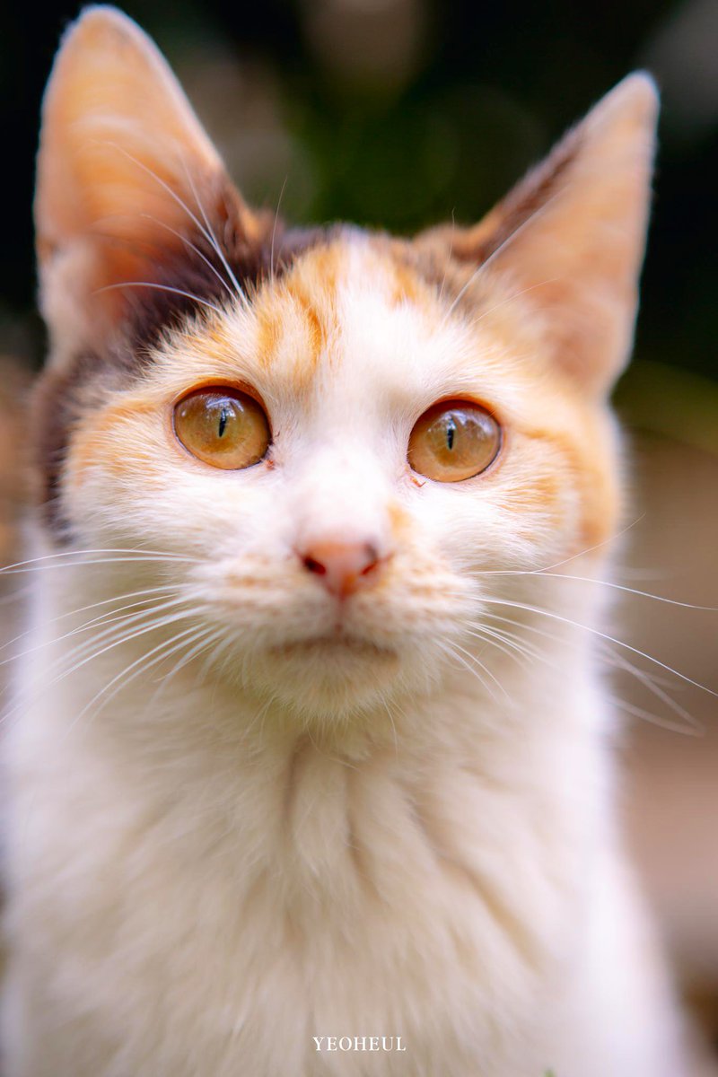 제가 아끼는 사진 여러분께만 보여드립니다