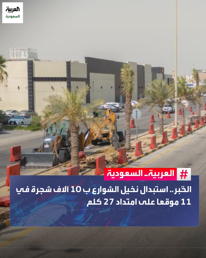 مدينة الخُبر الجميلة تقرر استبدال نخيل الشوارع إلى أشجار الظل التي تساعد على تخفيض درجات الحرارة وتكون مناسبة للجلوس تحتها للبشر والحيوانات والطيور.

المرحلة الأولى ستكون على 11 شارع بطول 27 كيلومتر.

حسب بلدية الخُبر فهي تخطط لجعلها واحدة من أفضل 100 مدينة للعيش على مستوى