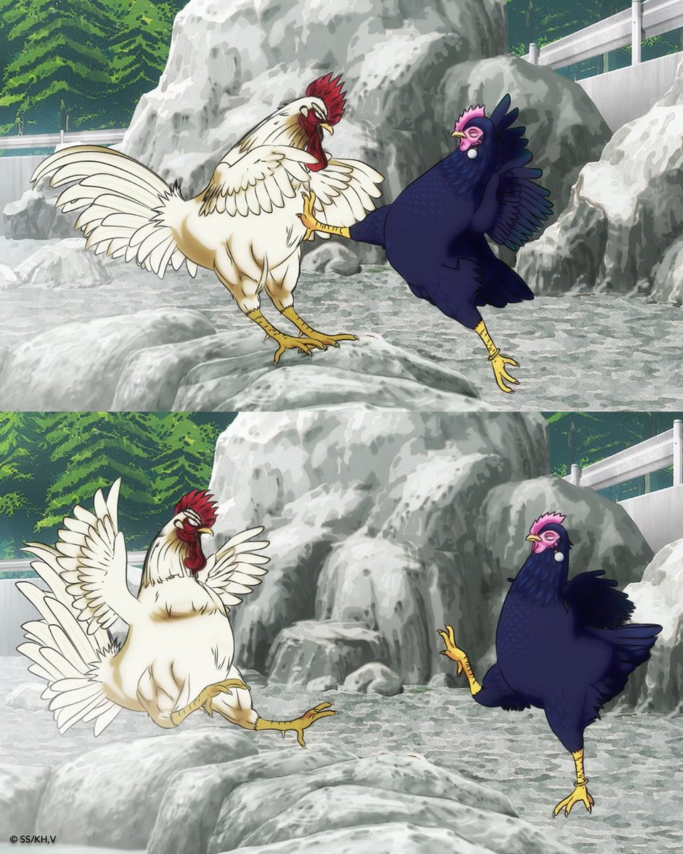 RoosterFighter_'s tweet image. Cómo conocí a tu madre
#RoosterFighter @VIZMedia @shu_sakuratani @niwatorifighte1