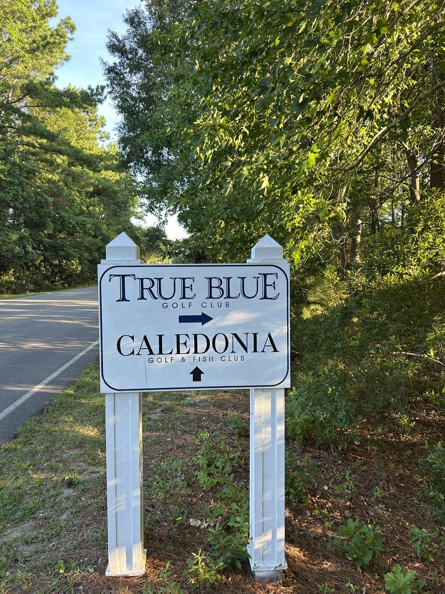 True Blue Golf Club (@truebluegolf) on Twitter photo Mike Strantz Designs 
Golfweek 2025 #4-#5 Public ⛳️ Course in South Carolina 🌴 Mike Strantz Designs 
Golfweek 2025 #4-#5 Public ⛳️ Course in South Carolina 🌴