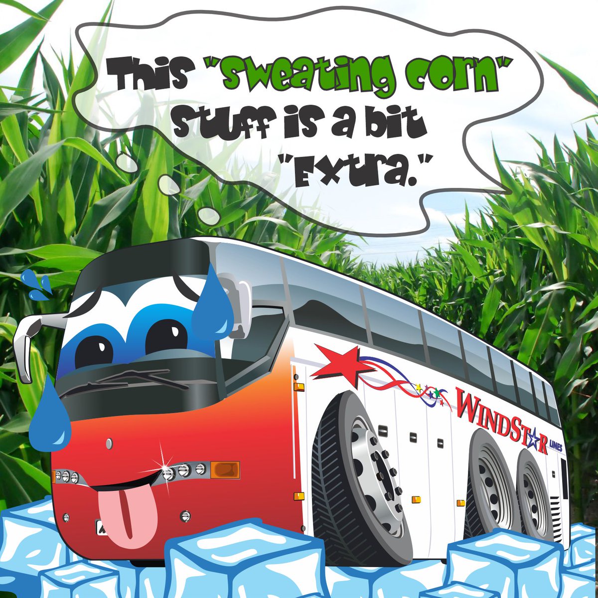 Windstar Lines tweet media