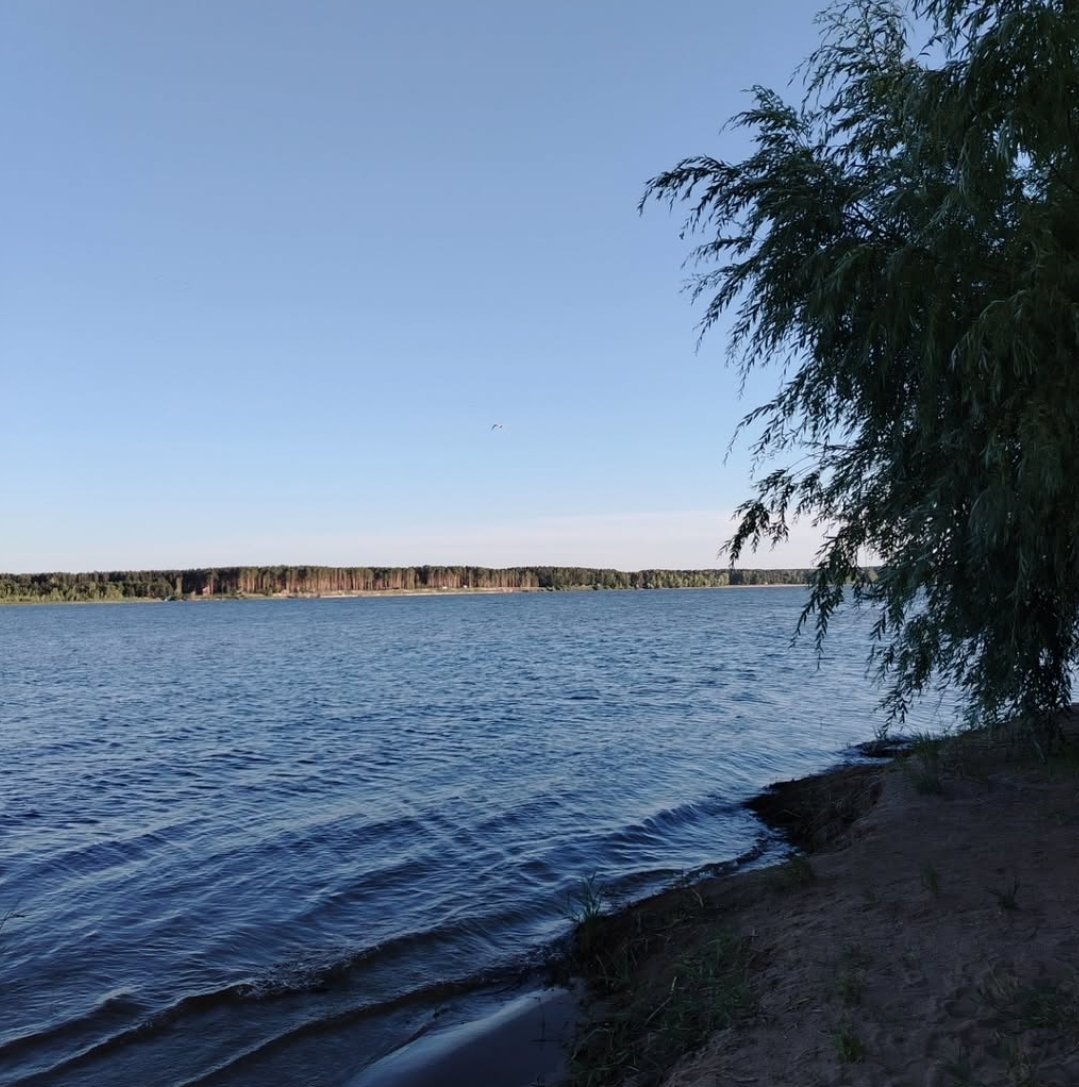 semkolmayer's tweet image. Ловите красоту. Пусть вас порадует
