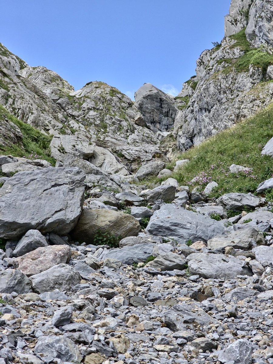 AcideLeRevenant's tweet image. À midi, lors du déjeuner avec les collègues, on parle vacances. Quasiment tous évoquent la montagne.
Innocemment je lance:
《-Il n'y a plus qu'à la montagne qu'on est tranquille !》
Le reste de la conversation s'est faite de sous-entendus.
#toutlemondesait mais n'ose pas parler.