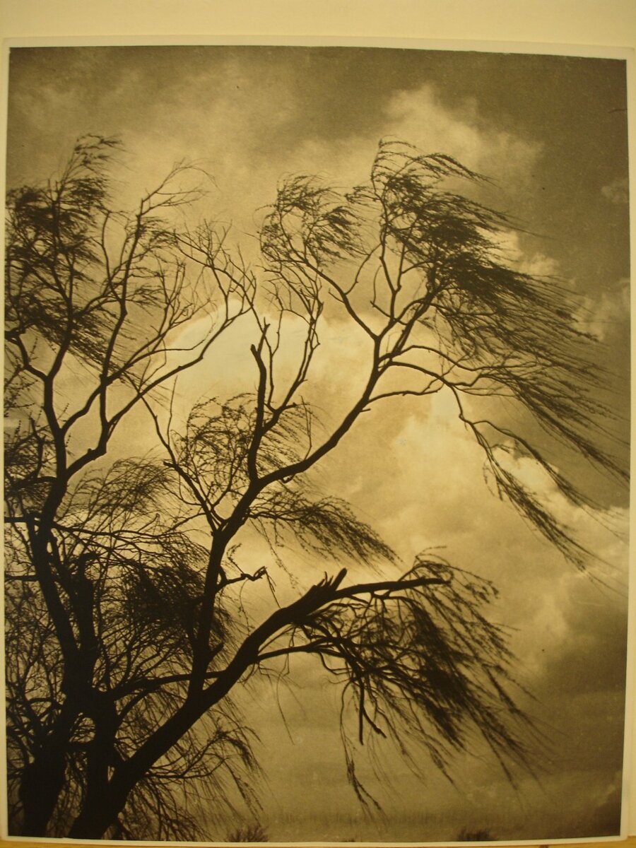 bm_photobot's tweet image. April Winds and Showers brooklynmuseum.org/opencollection…