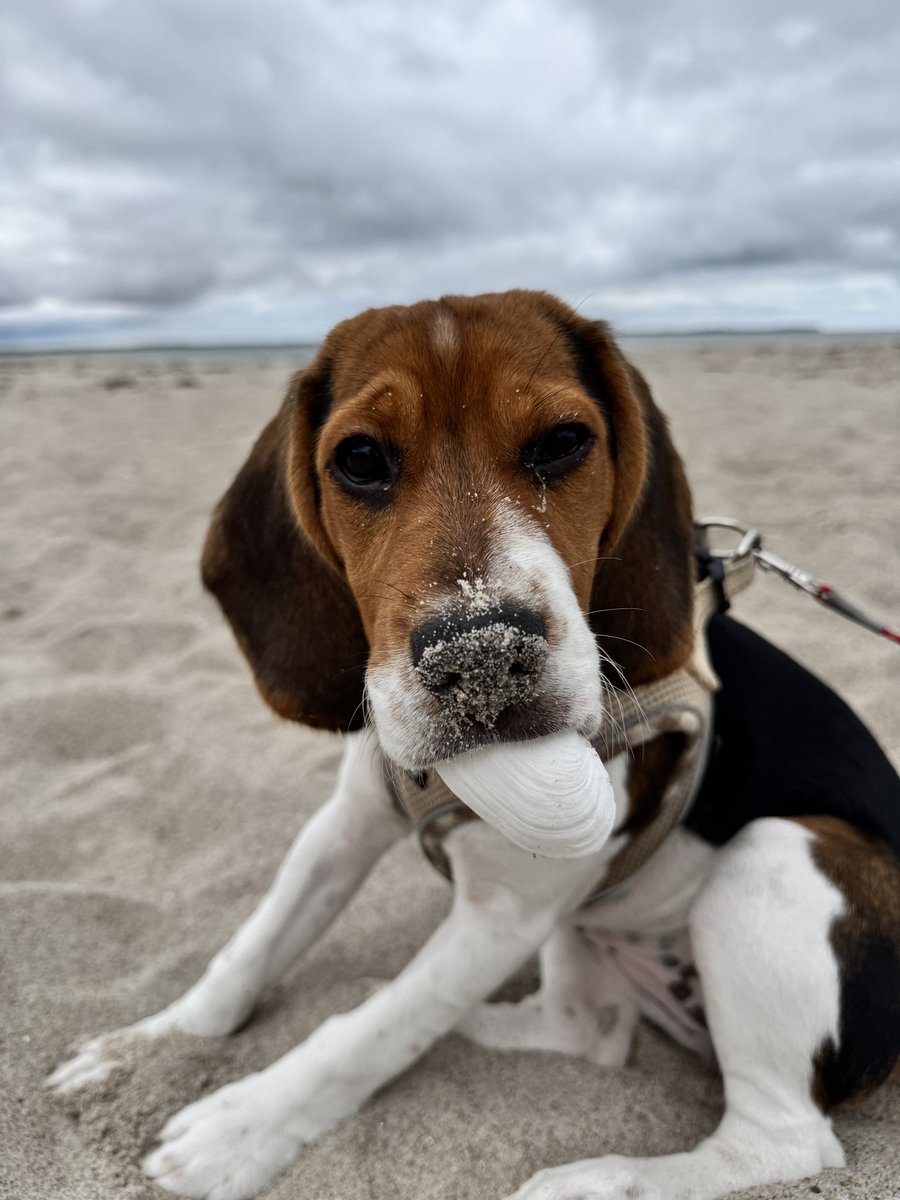 Ich wenn einer beim Essen ein Foto machen will