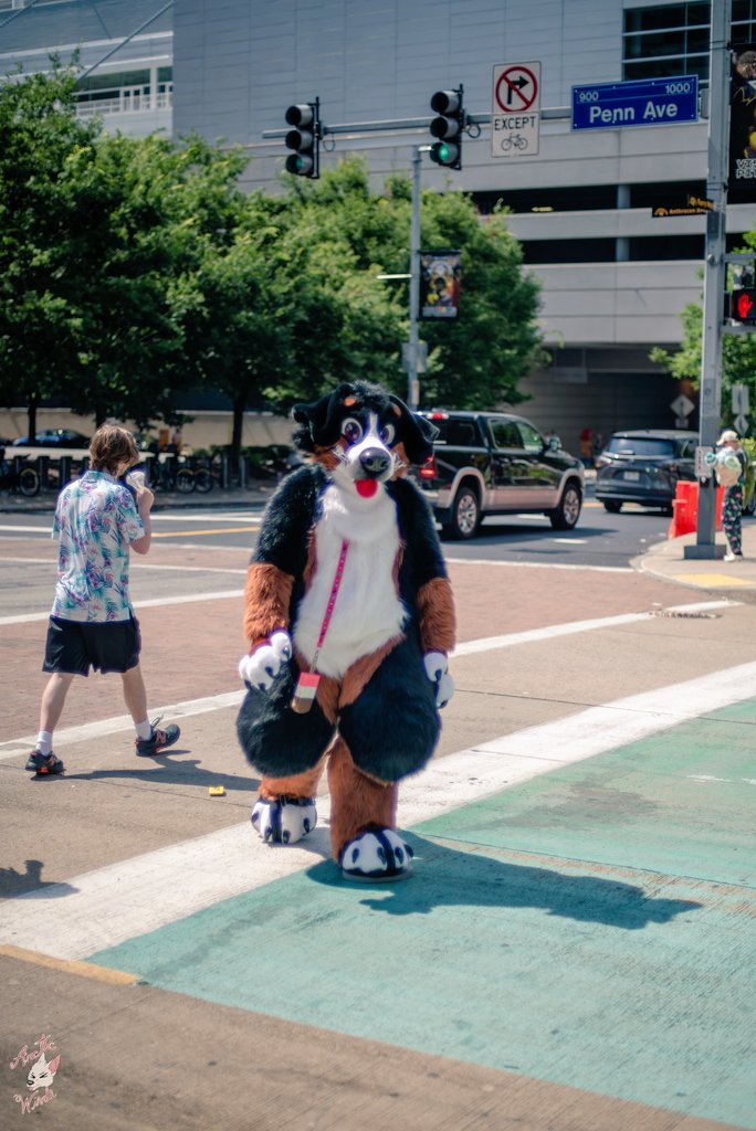 He's coming...
📷Fnmwolf