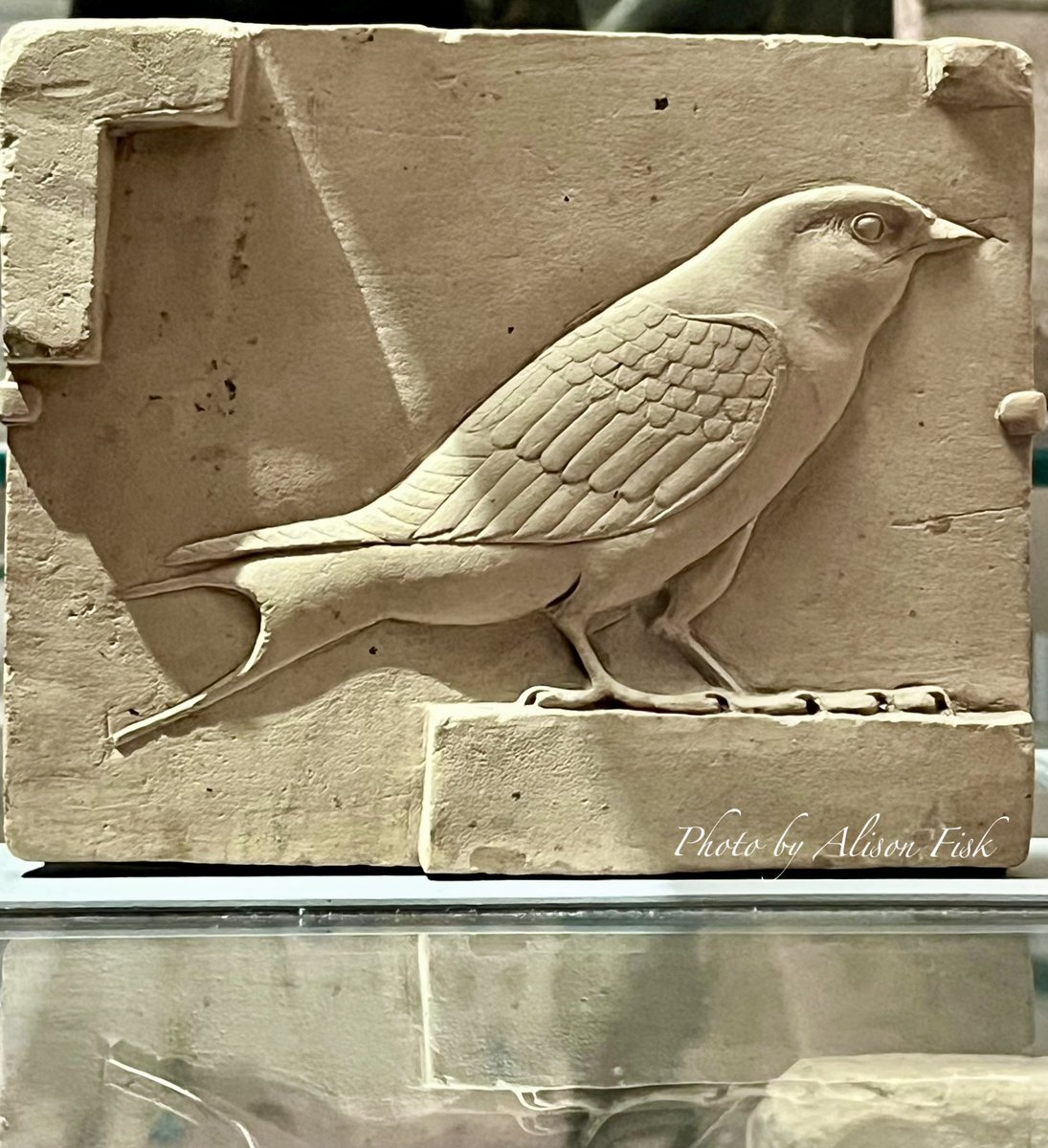 A lovely little swallow carved on a limestone plaque over 2,000 years ago.

From Egypt, Late Period–Ptolemaic Period, 400–30 BC. 

Met Museum 📷 by me metmuseum.org/art/collection…
