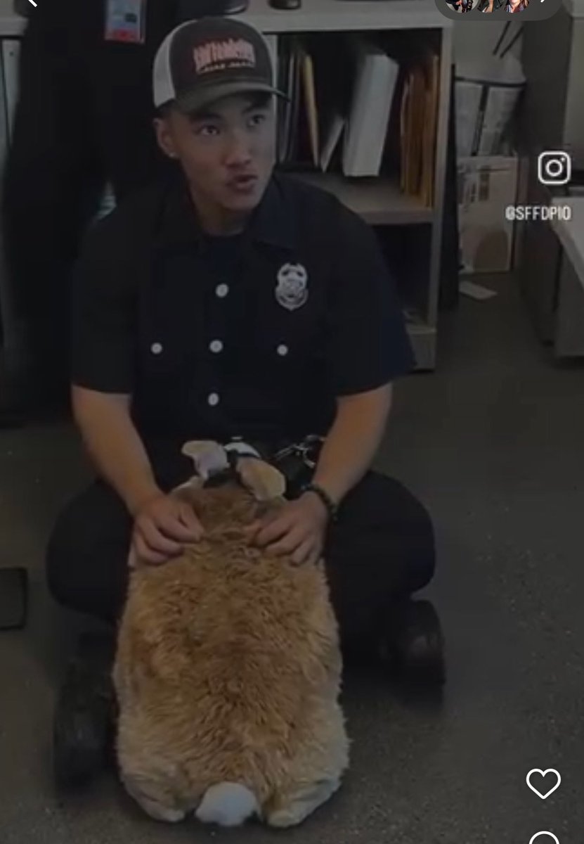 SFFDPIO's tweet image. We want to express our heartfelt support and prayers following the passing of Alex, the Great Therapy Rabbit. We are grateful for all the joy, smiles, and memories that Alex brought into our lives. We also extend our thanks to Alex's human companions, Kei Kato and Josh Row, for…