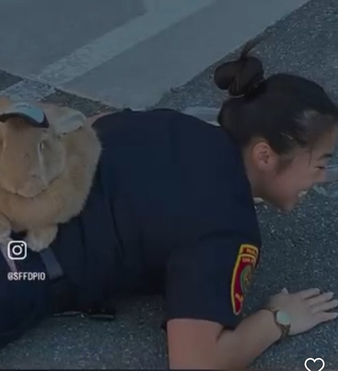 SFFDPIO's tweet image. We want to express our heartfelt support and prayers following the passing of Alex, the Great Therapy Rabbit. We are grateful for all the joy, smiles, and memories that Alex brought into our lives. We also extend our thanks to Alex's human companions, Kei Kato and Josh Row, for…
