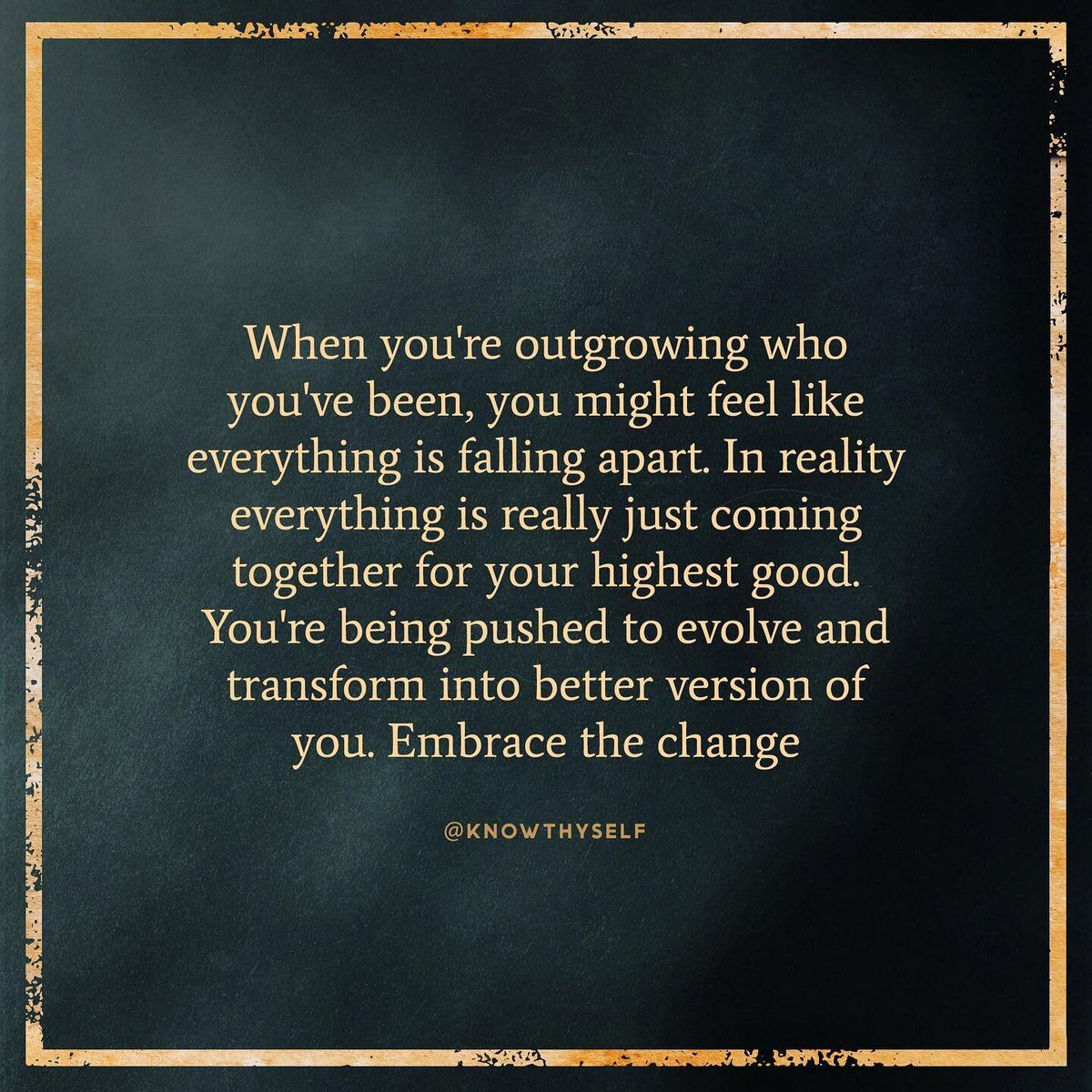 SigP226Legion (@bellstheorem33) on Twitter photo 