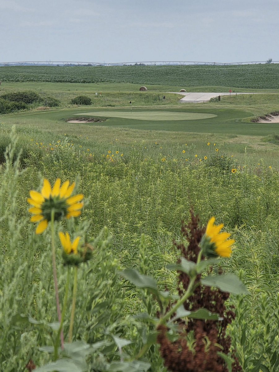 OrsonRosas's tweet image. Wild Horse Golf Club, Gothenburg, NE (Dave Axland and Dan Proctor)
Another incredible value course on my trip, and a wonderful introduction to Nebraska golf.