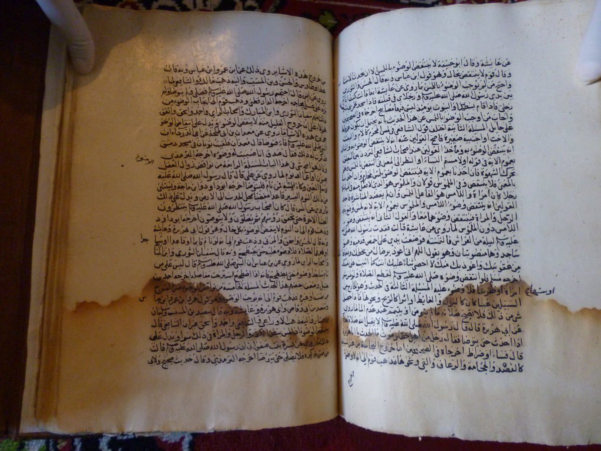 almaktutat's tweet image. من نفائس مكتبة الزاوية الجُمَّنية في مطماطة - تونس
- نسخة مغربية فاخرة من 10 أجزاء من كتاب "الجامع الصحيح" للإمام الجليل أبي عبدالله محمد بن إسماعيل البخاري، من طريق أبي علي الصدفي.
وقد ذكر المشرف على المكتبة أن عندهم نسخا من جميع الكتب الستة: صحيح البخاري، صحيح مسلم، سنن أبي…