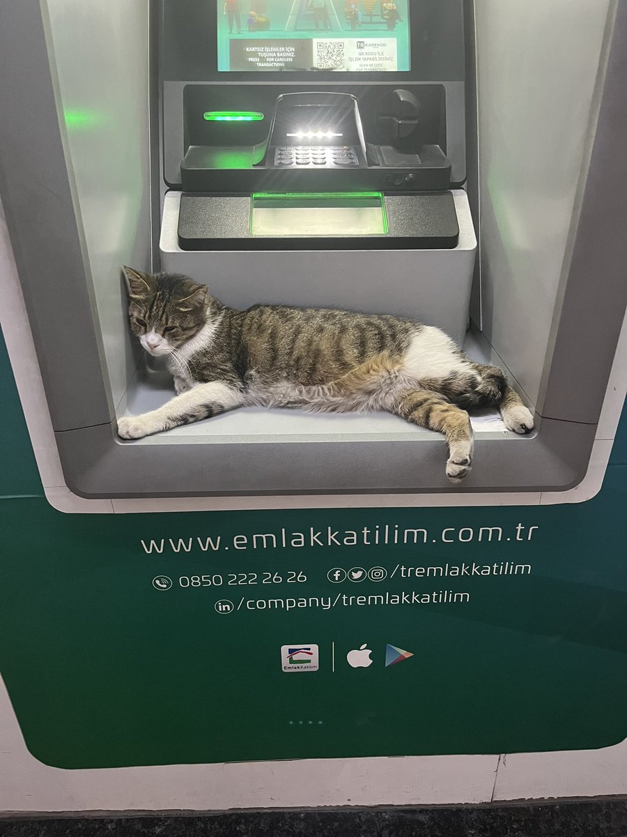 hacklenmiş  kullanamadım