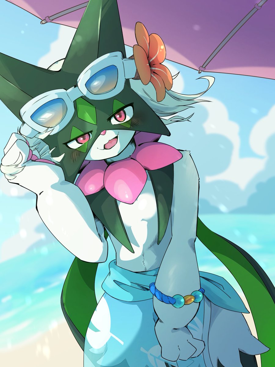 S2O3_chio's tweet image. 海風とネコ🌱