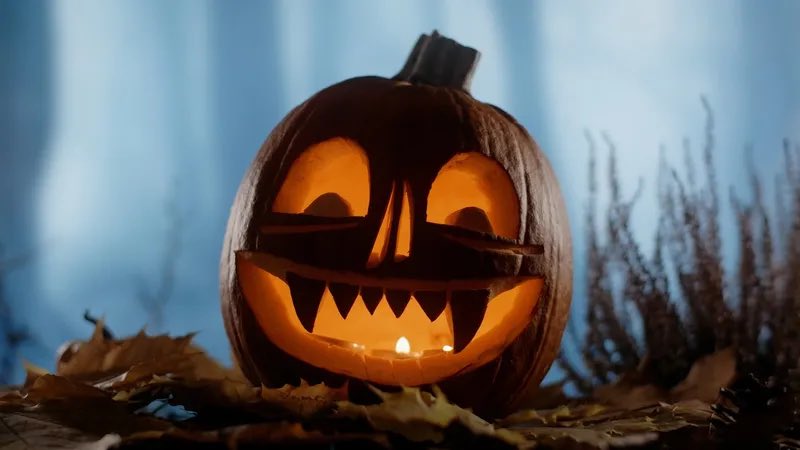 WhoCraved's tweet image. Colin Baker reveals his Halloween plans with the celebration being 100 days away | 🚨
“I have some big plans but if that fails, I can always be the old faithful slutty cat”