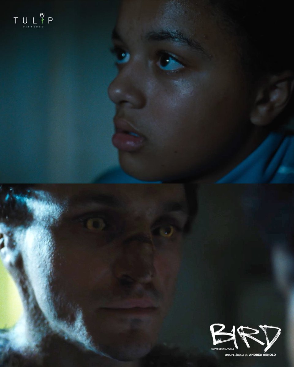 A veces una mirada puede cambiarlo todo.
Bird, una película sobre crecer, romper y volar, ya en cines. 
🎟️ Consigue tus boletos aquí: linktr.ee/TulipPictures
