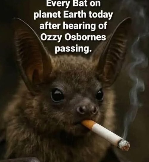 Headshok1962's tweet image. I am getting flack for an Ozzy meme I posted in GenPop X. So, I'll keep them in FPS for the time being.